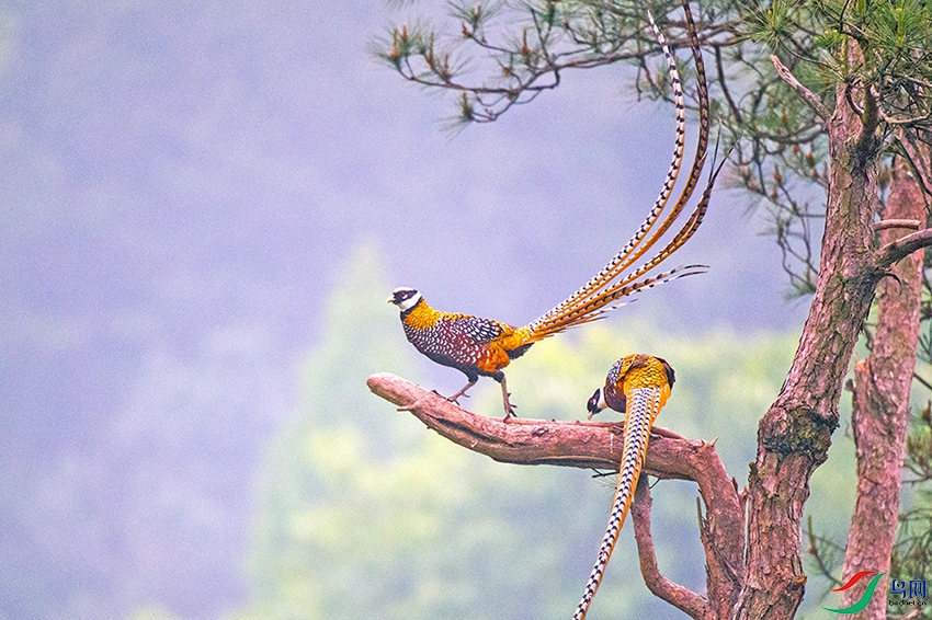 ��DSC_7030.jpg