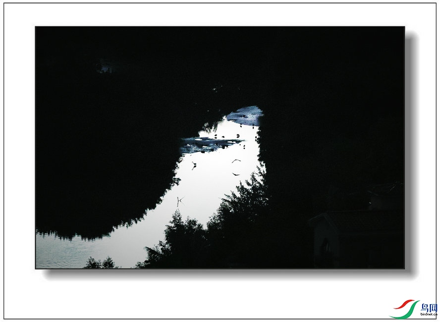 BW6I6053_����_����.jpg