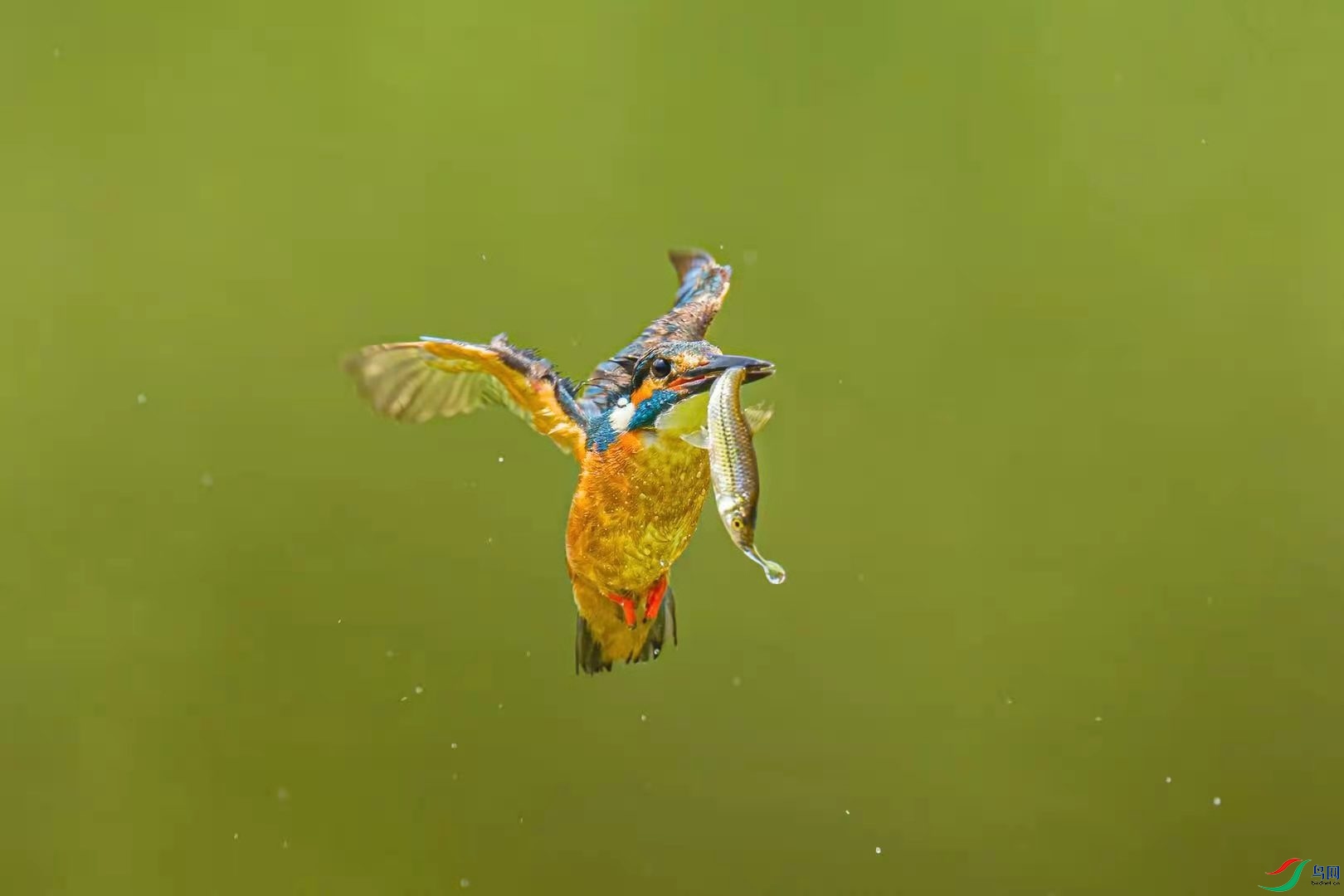 ΢��ͼƬ_20210730210104.jpg
