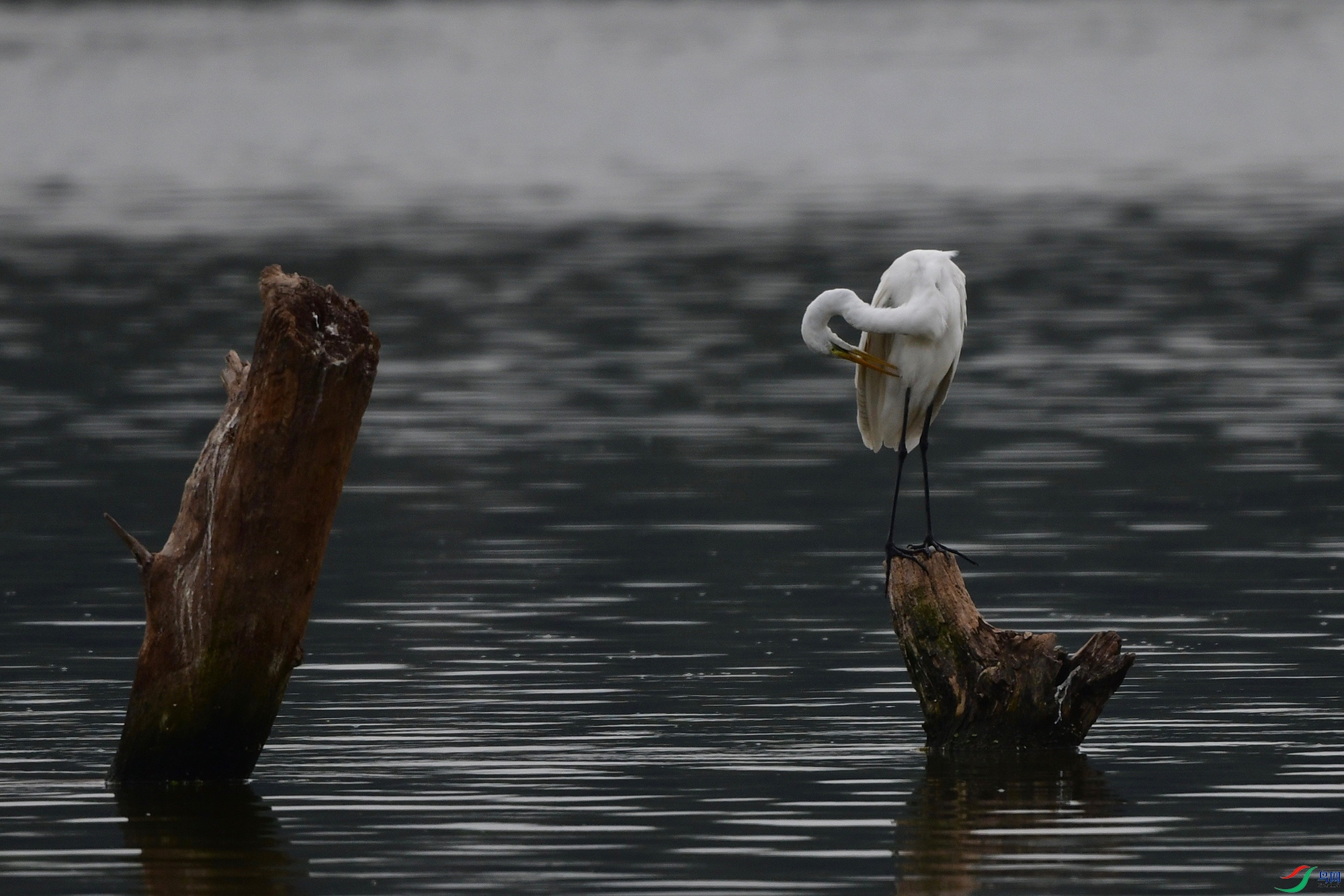 DSC_9061.jpg