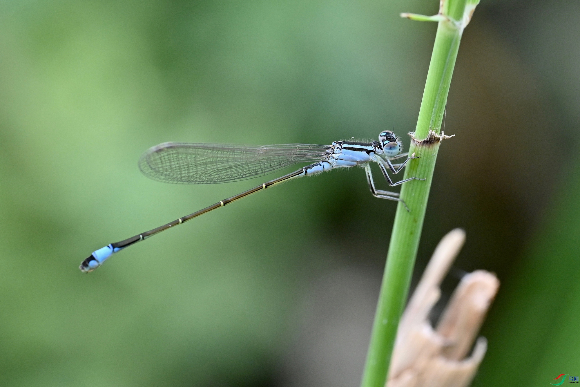 DSC_1720.jpg
