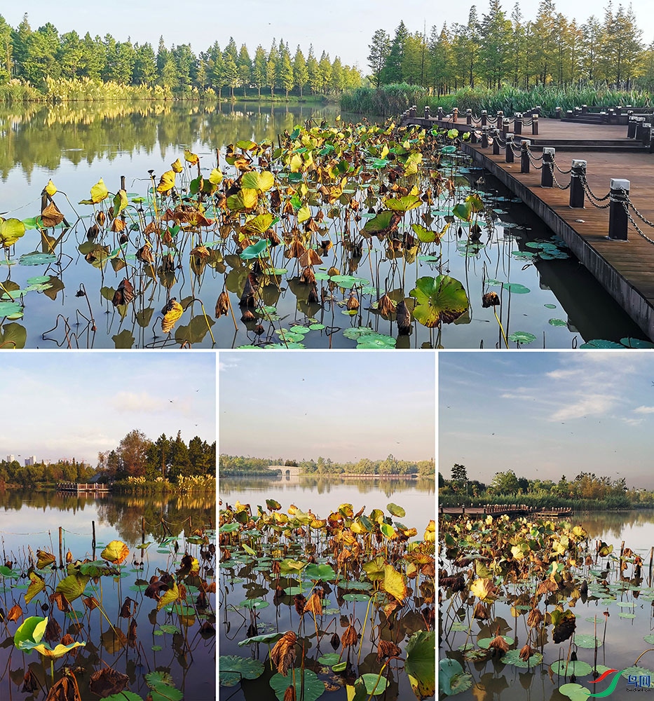 20210818����к������� (1)=.jpg