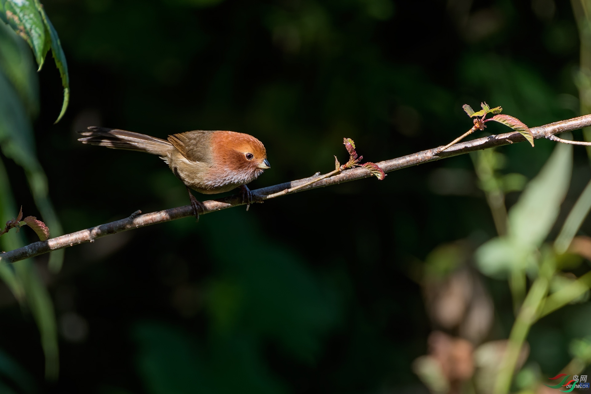 ��  ��ʦ����.jpg