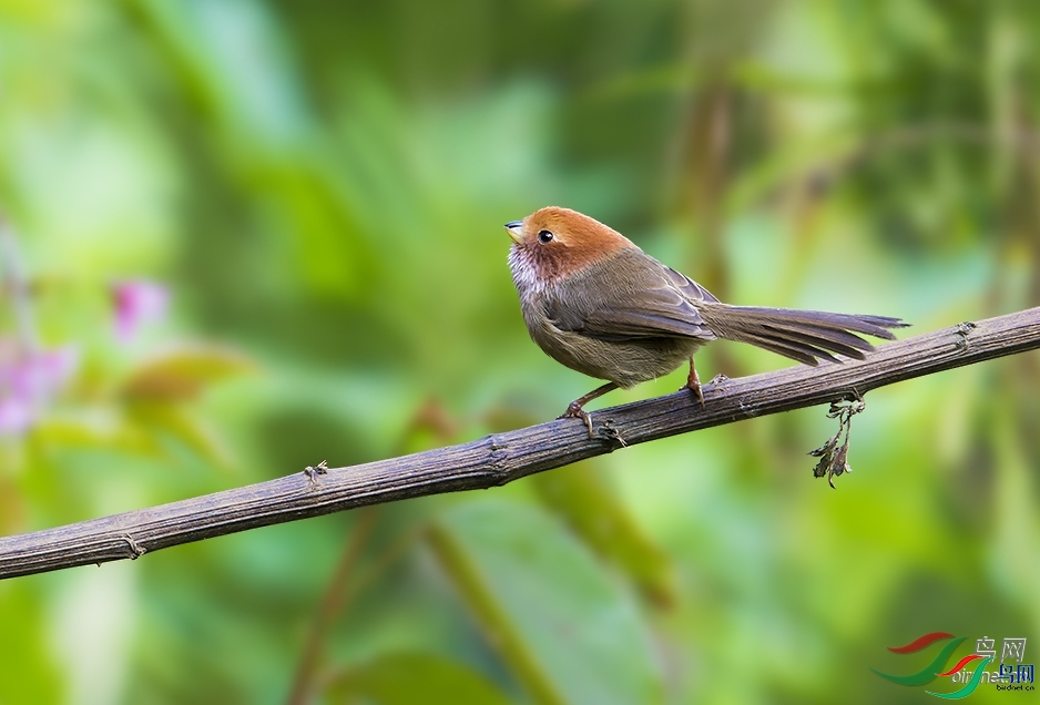 ϣ��  ��ʦ����������ʡ��ɽ�� ¡����â�����������.jpg