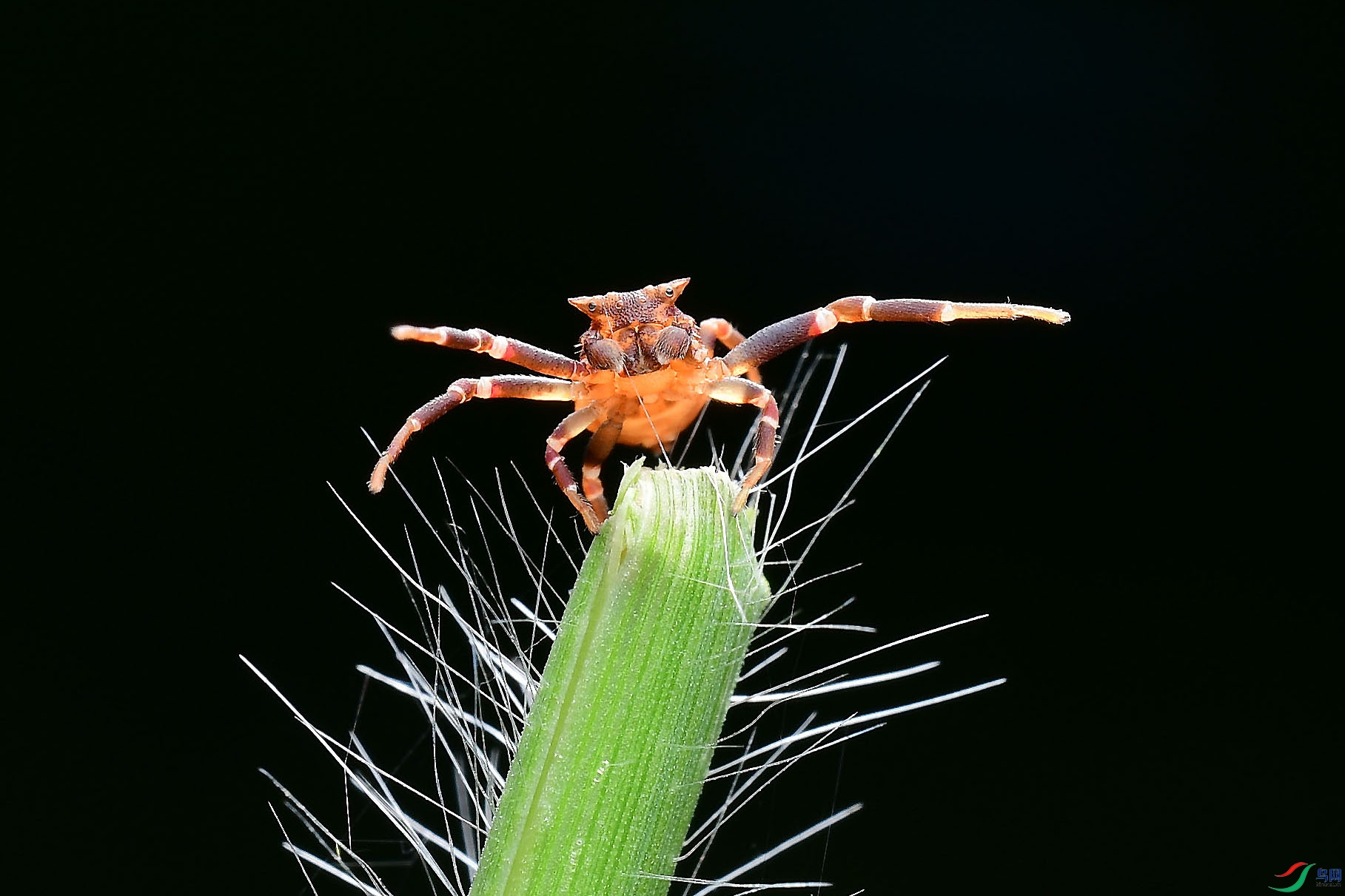 DSC_2402.jpg