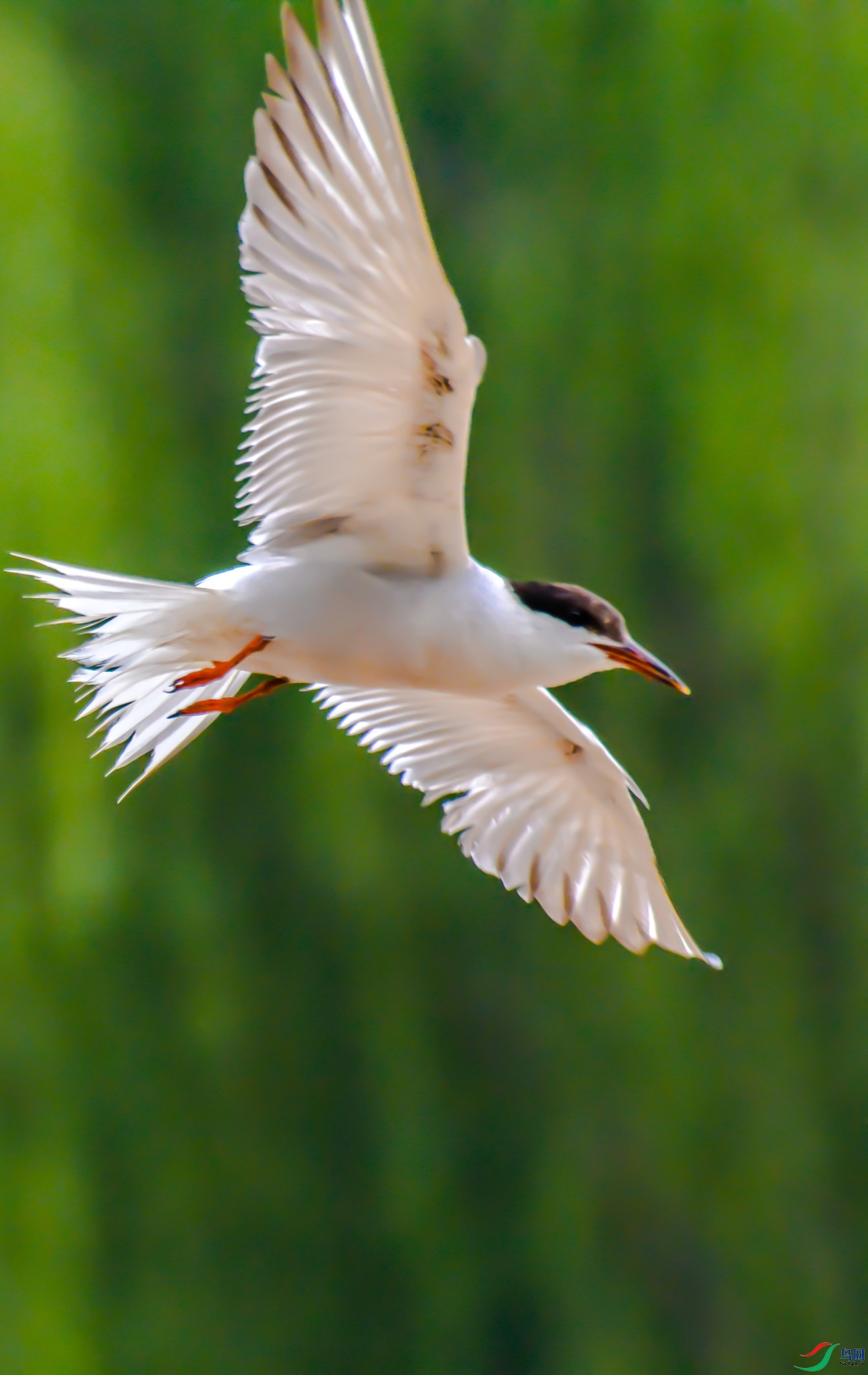DSC_5947.jpg
