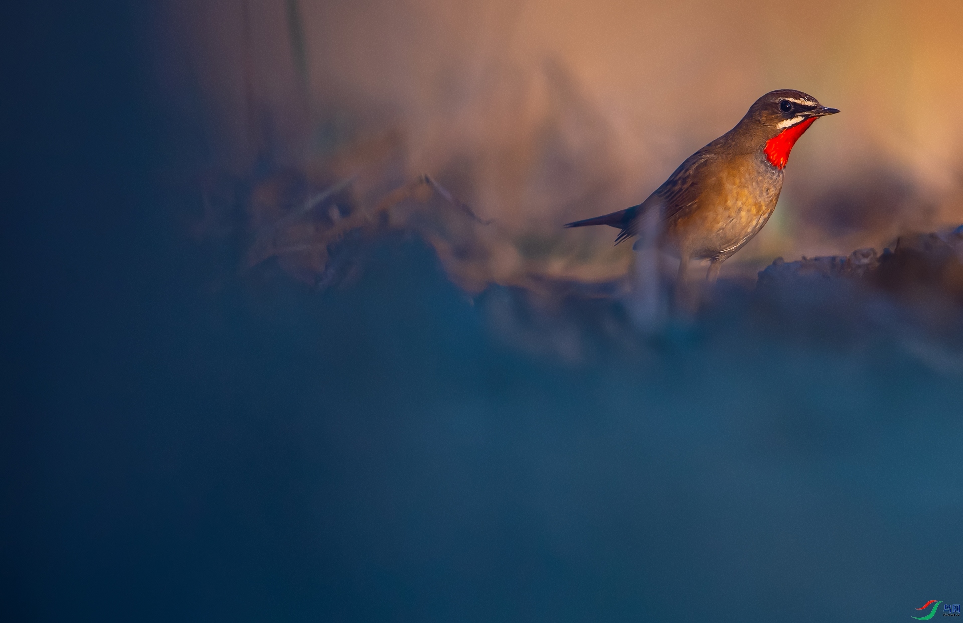 DSC_23541 ����.jpg