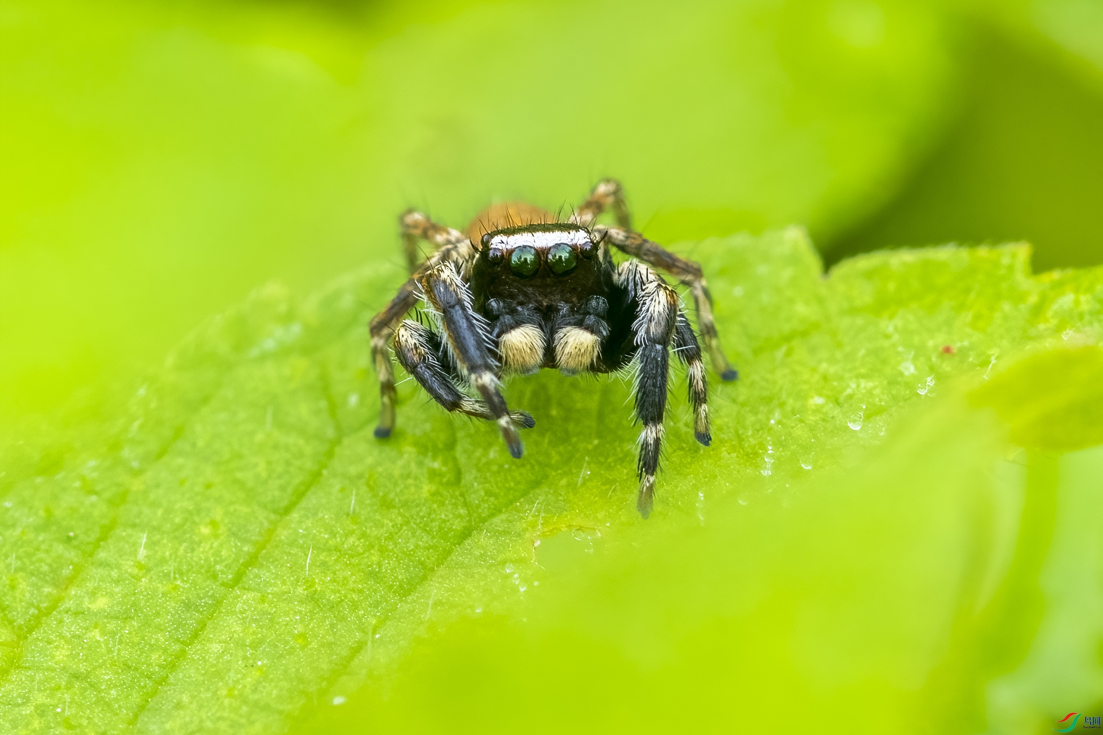 DSC_9768.jpg
