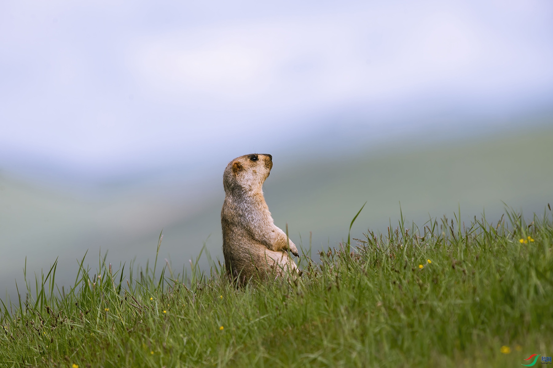 D5W_4315-1.jpg