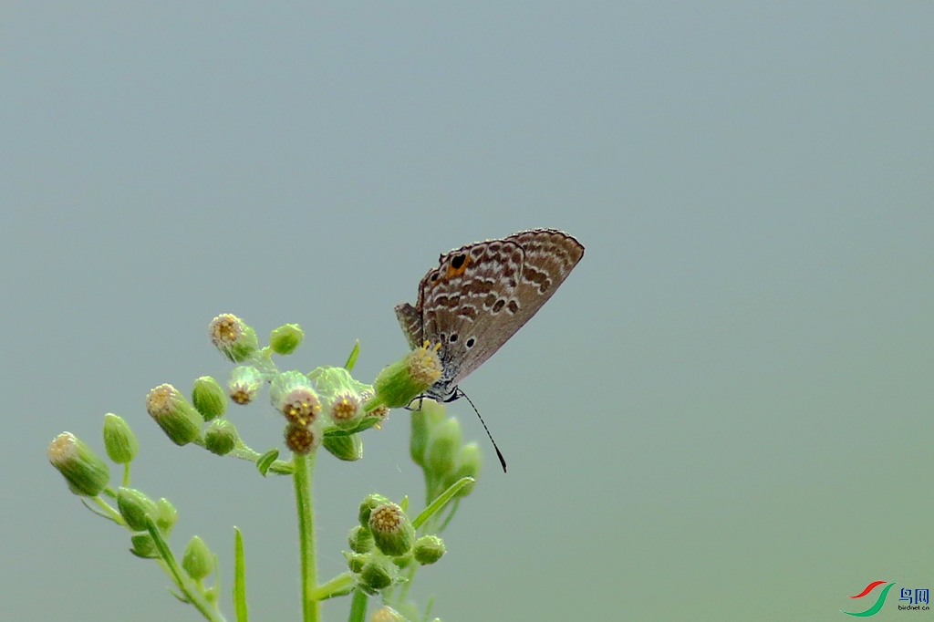 367A9611_����.jpg