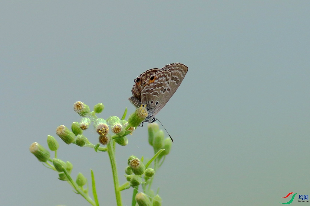 367A9602_����.jpg