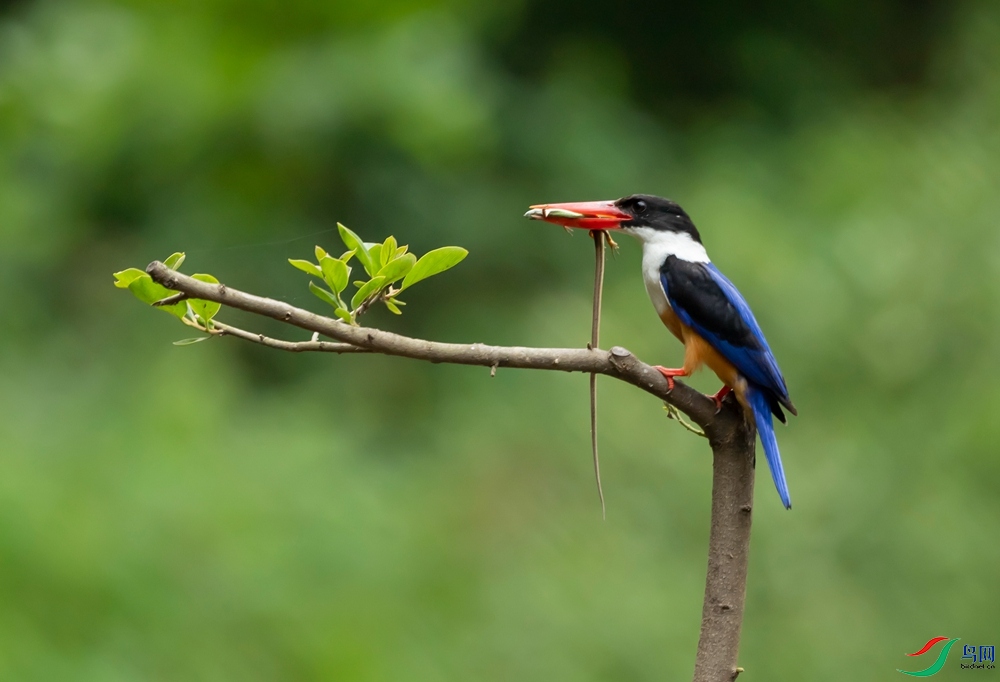 ���Ŵ����������ЪһЪ