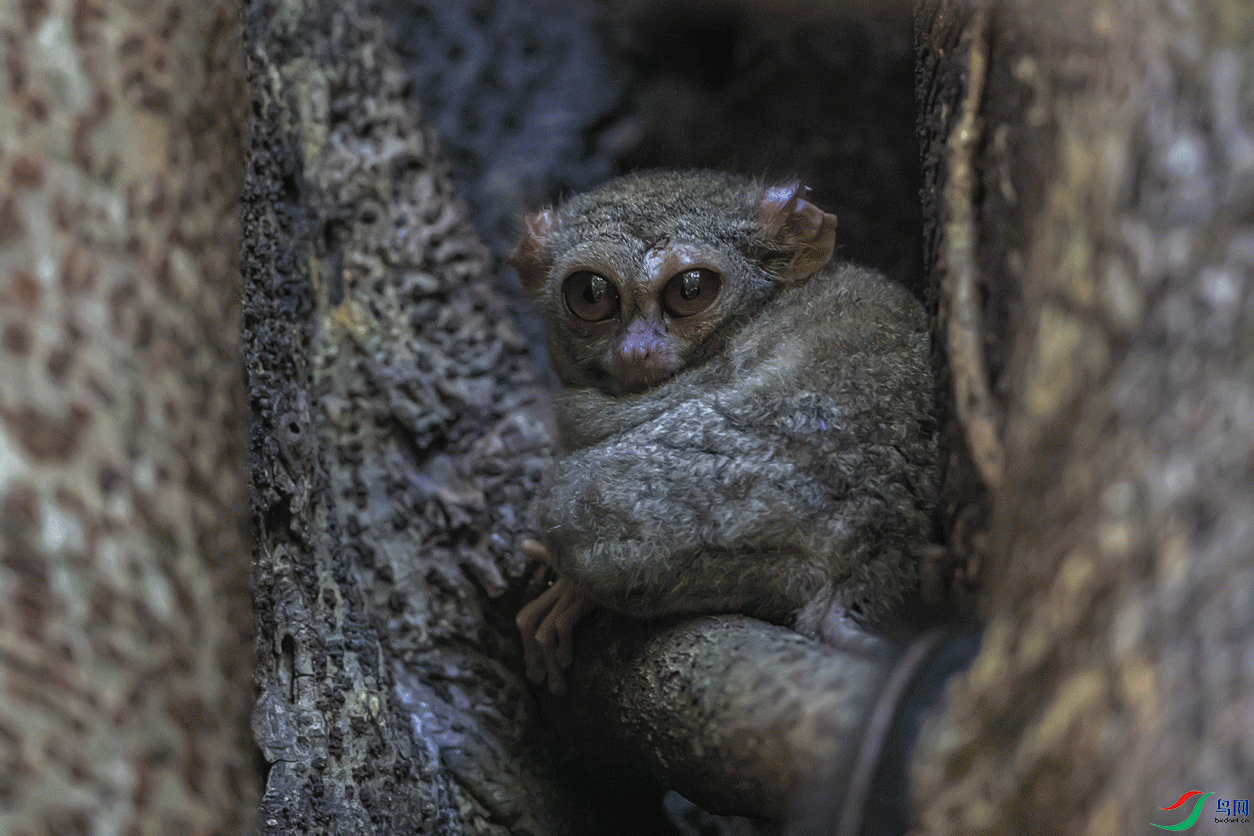 �۾���.gif