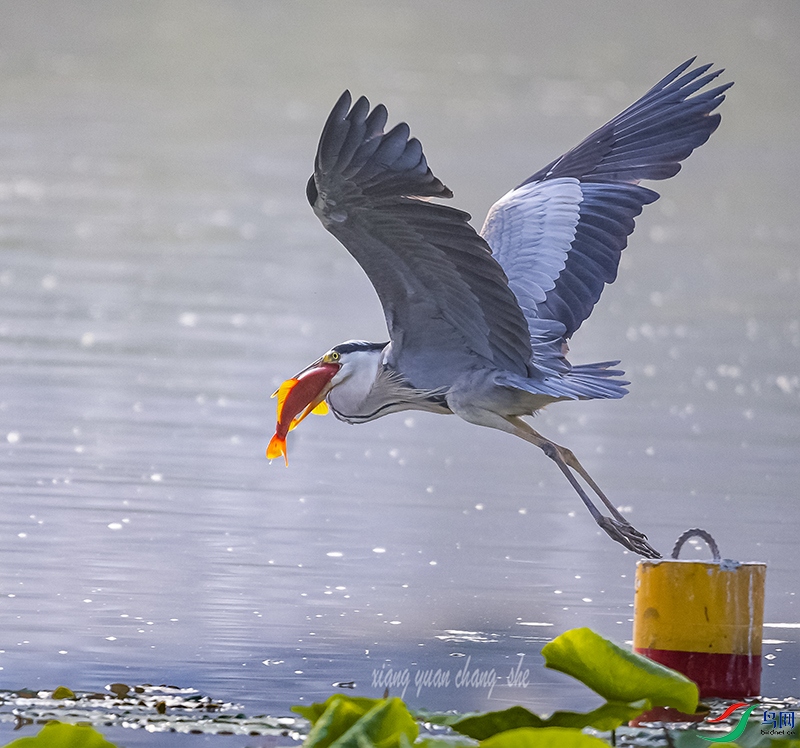 A30I3751-1a.jpg