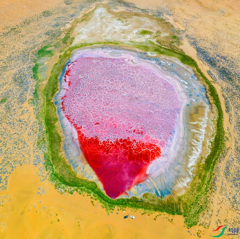 DJI_0980a_1-����ƴͼ_1_1.jpg
