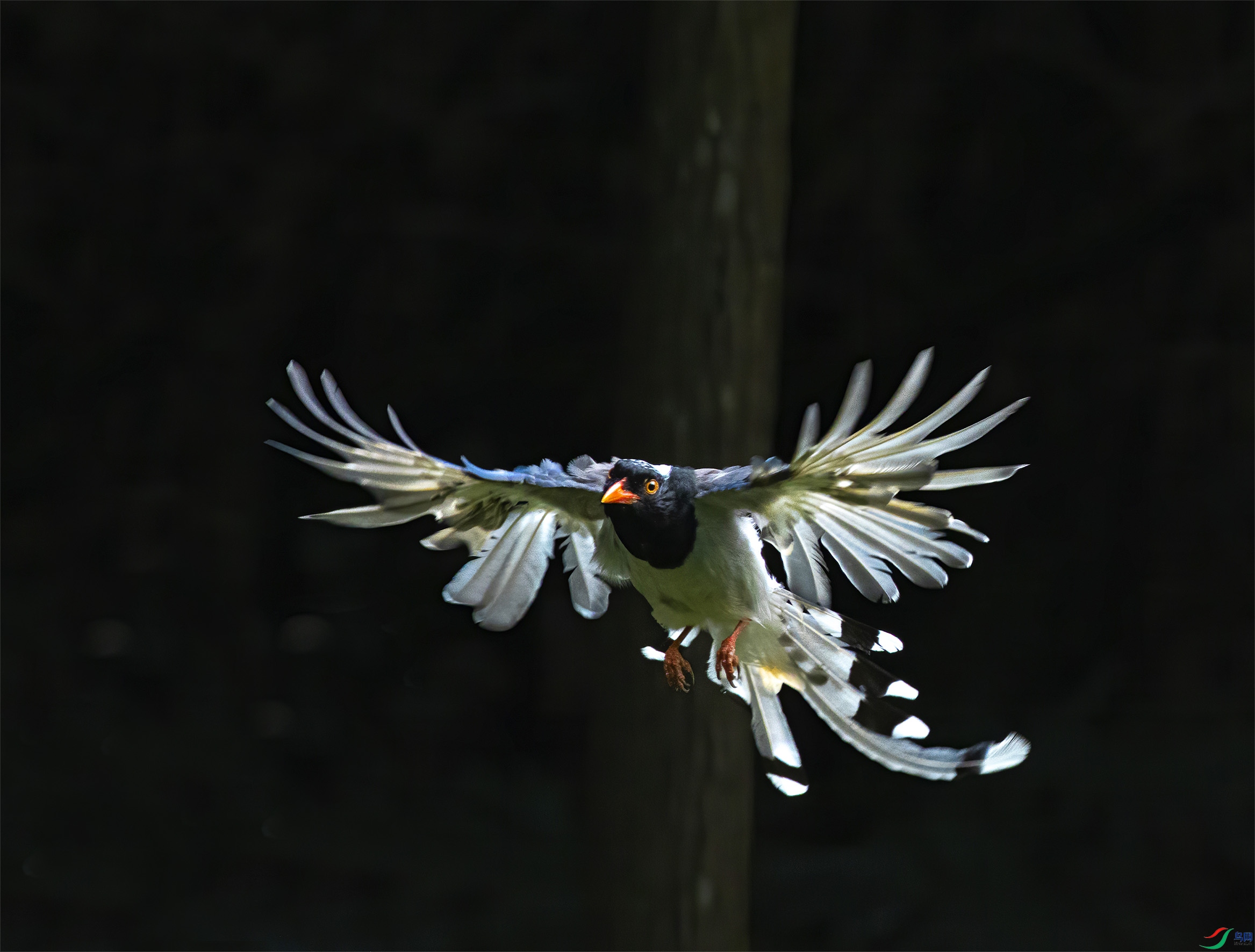 IMG-5C.jpg