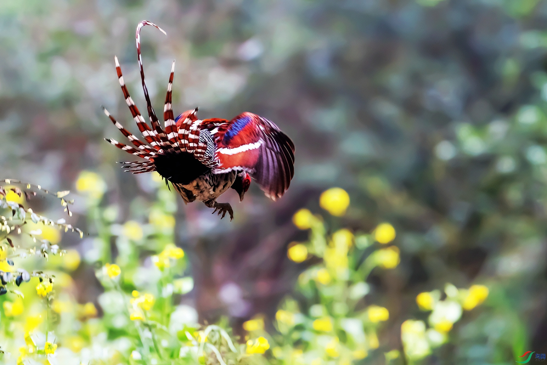 437A0862-denoise-low-light (1).jpg