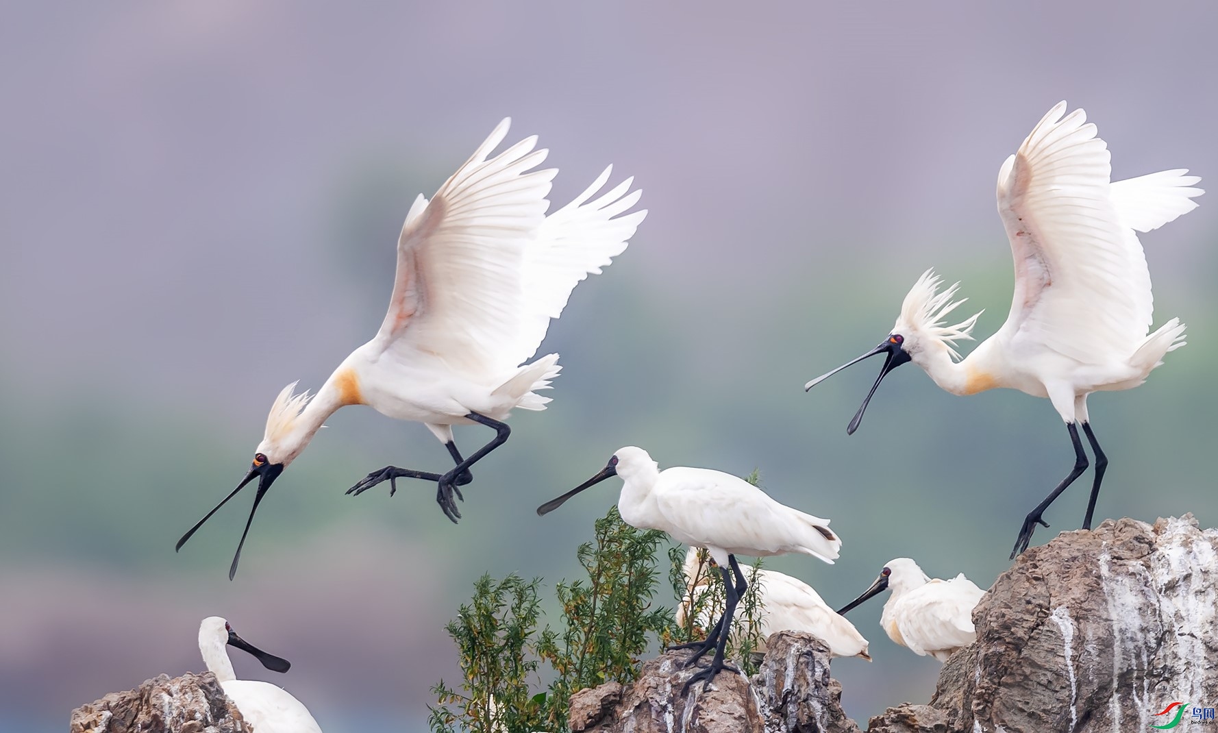 ��������