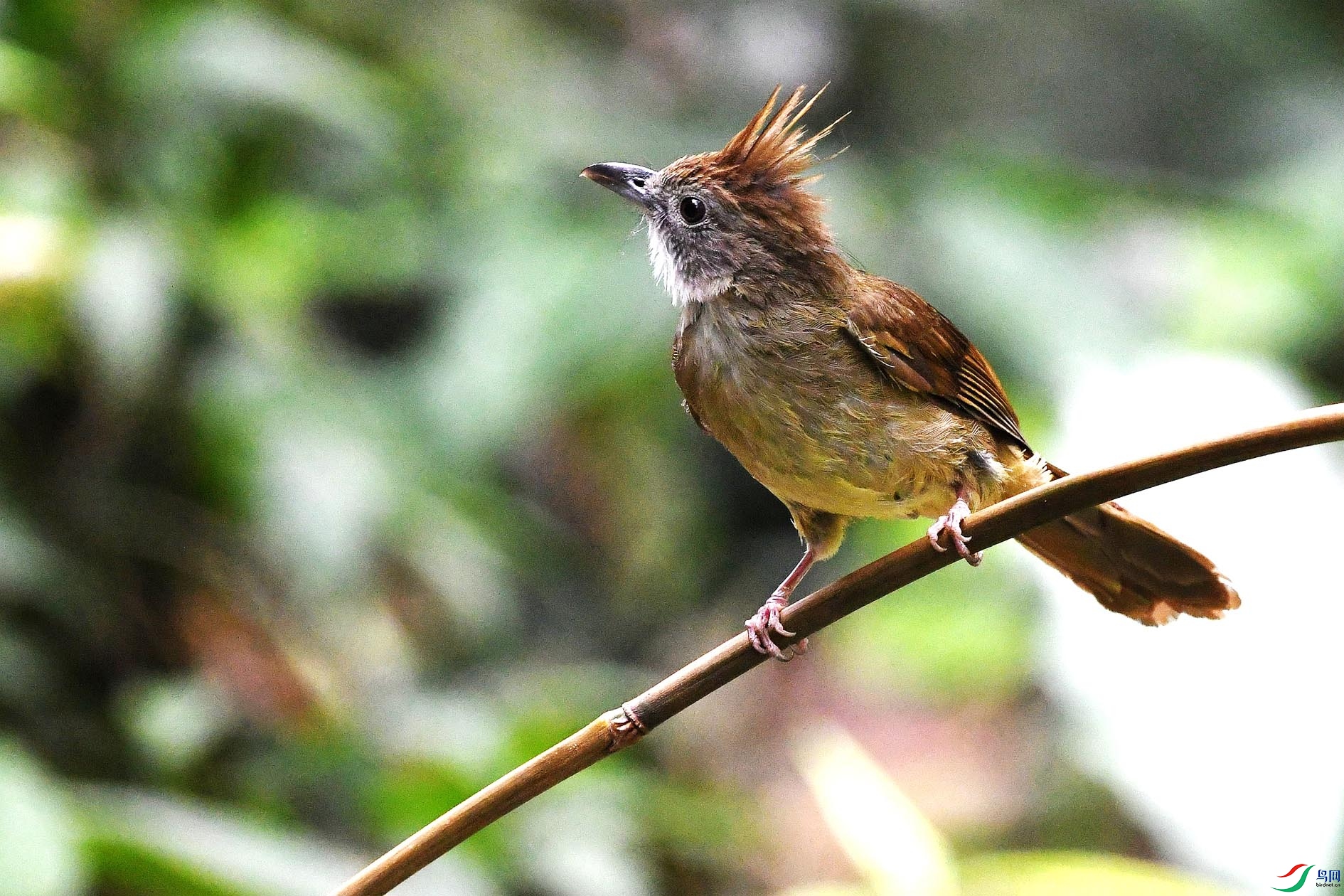 NIKON D5001209_����.jpg