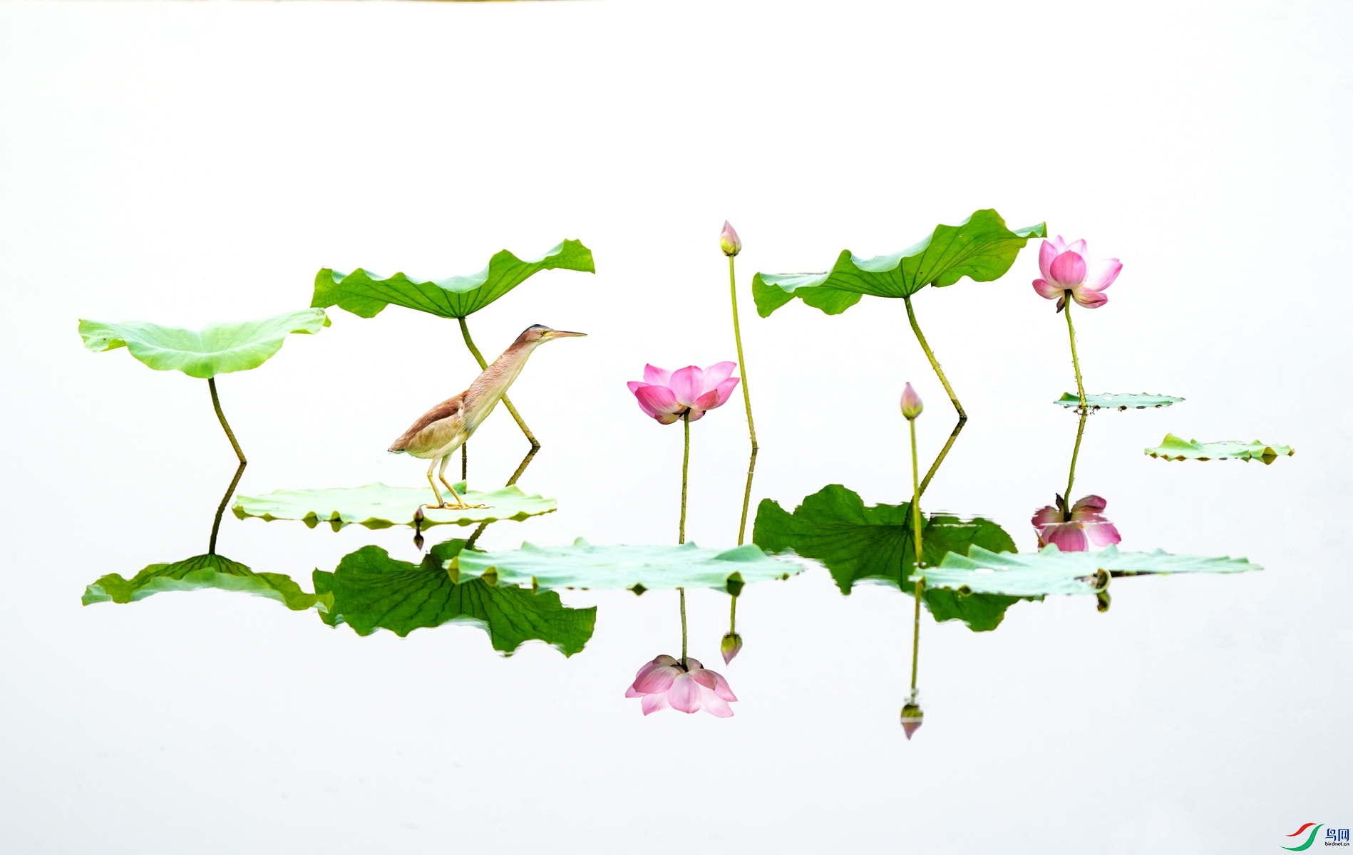 11 DSC01726_����.jpg