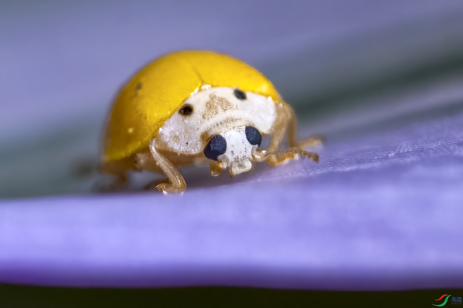 DSC_2110.jpg