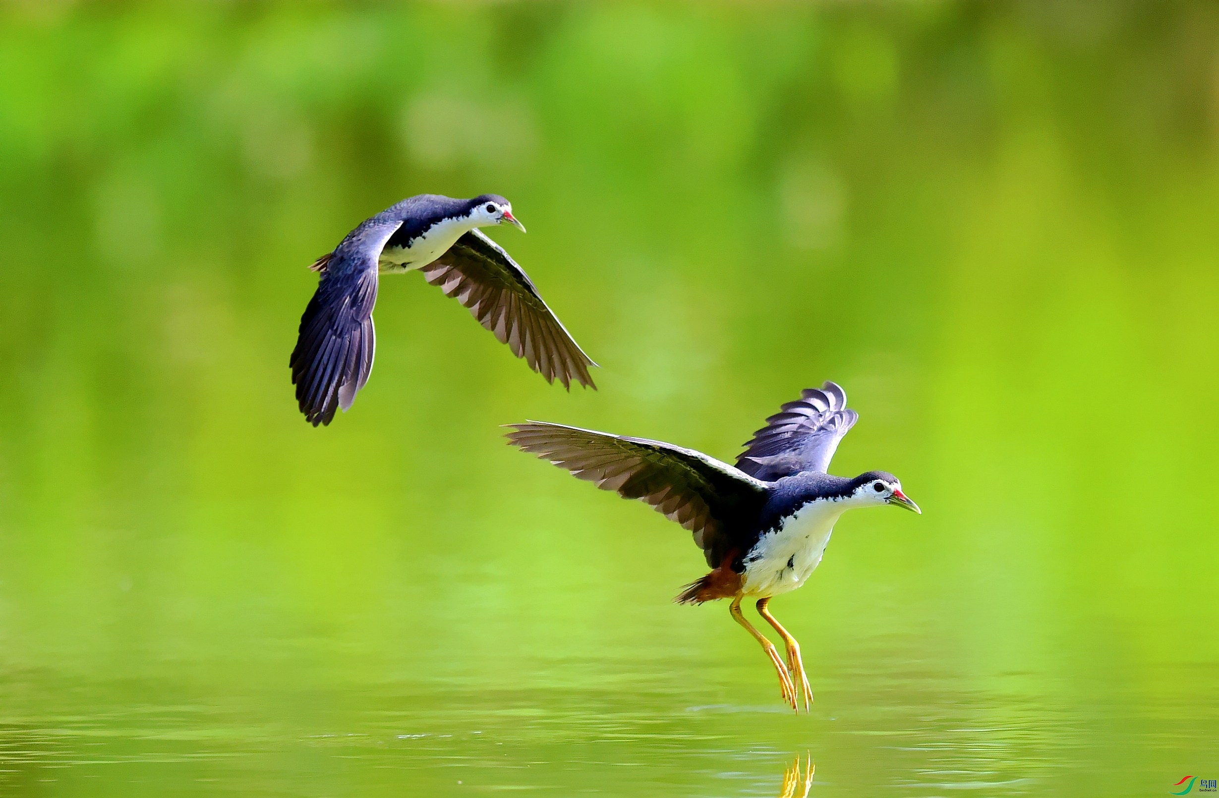 DSC_3150_conew3.jpg