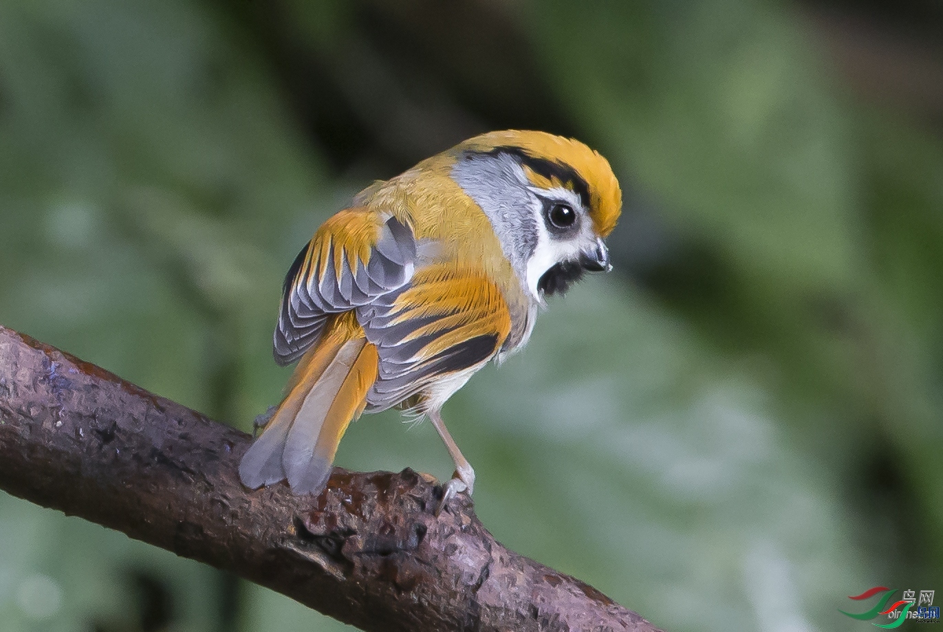 �����б�  ��ʦ����������ʡ�ڳ���.jpg