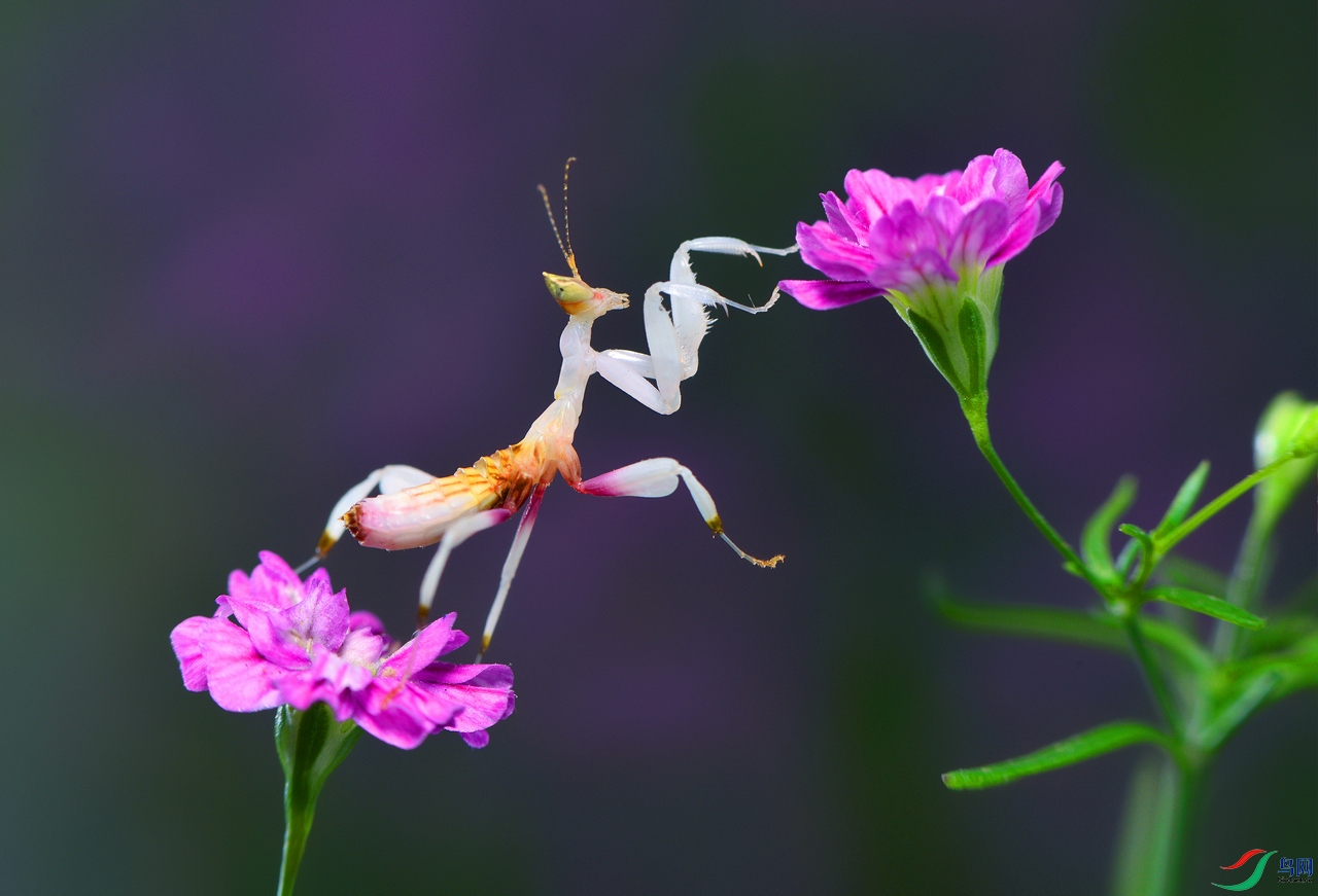 DSC_5747 ��������.jpg