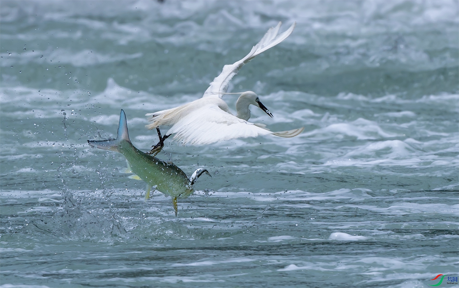 DSC_6909.jpg