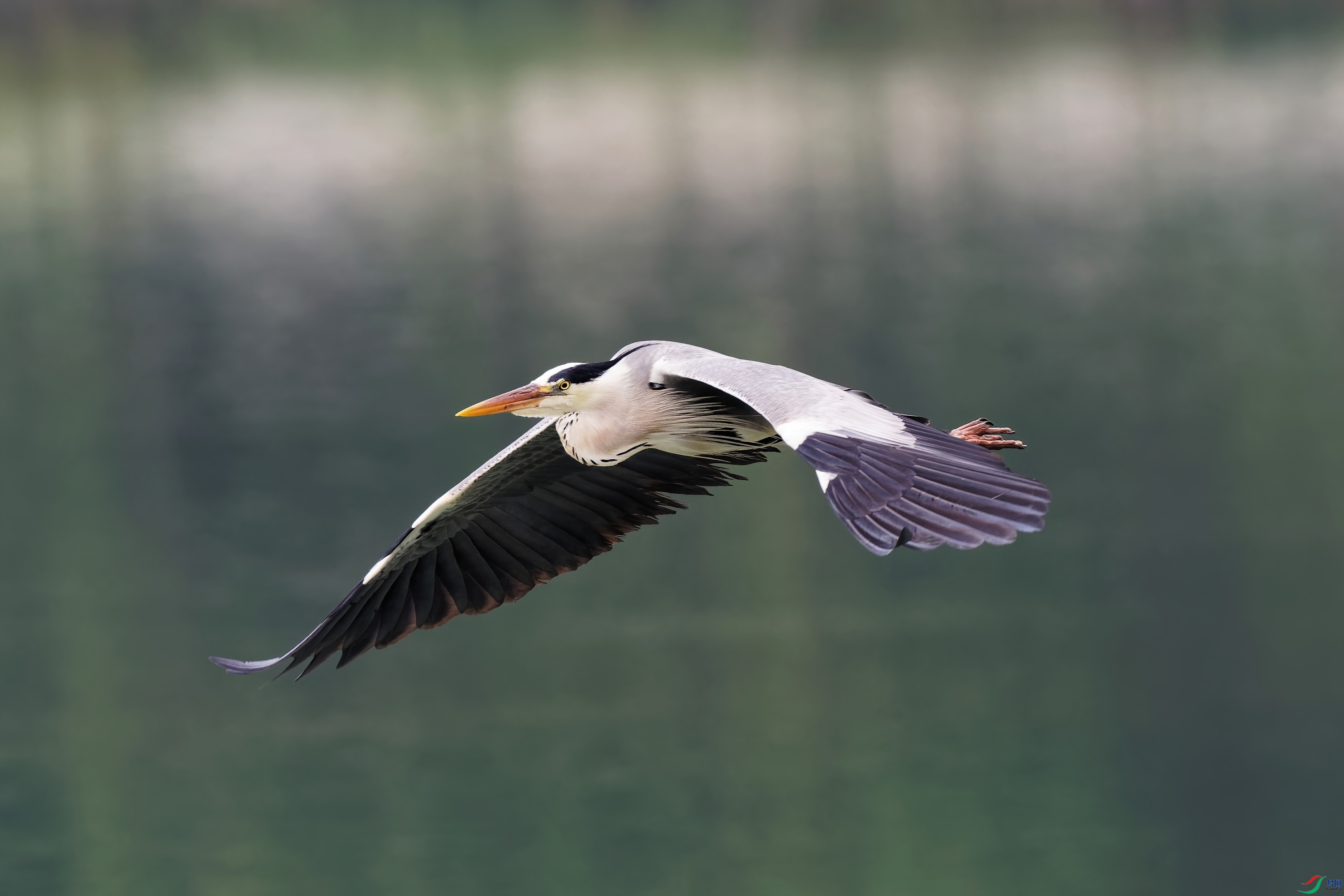 P5130260_DxO-d2.jpg