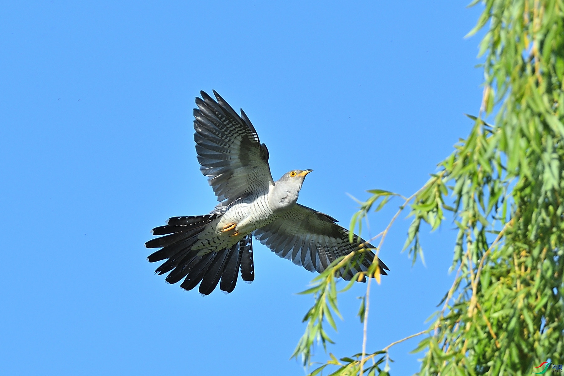 DSC_6100.JPG