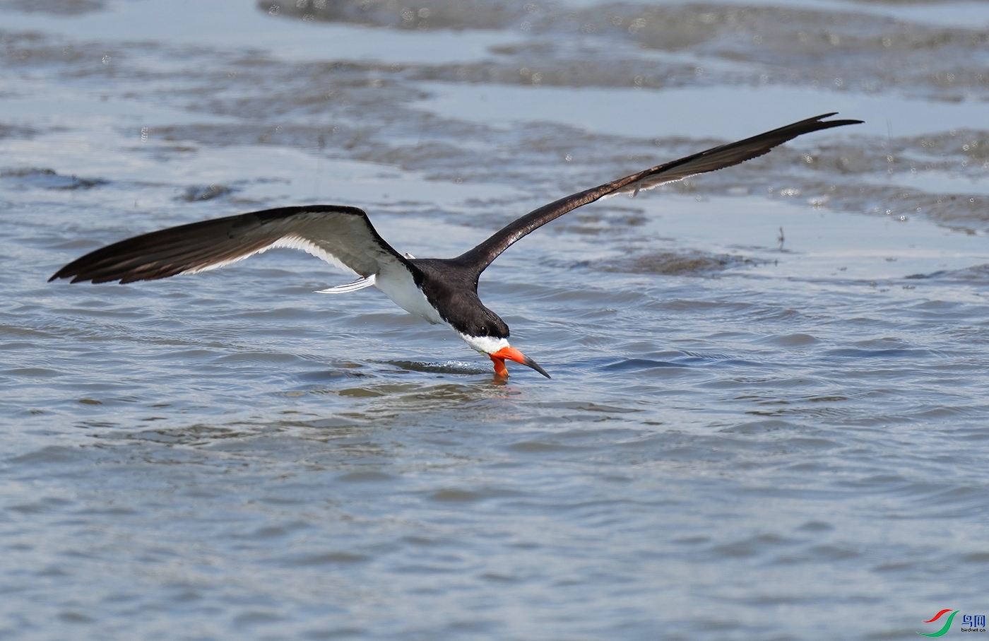DSD04873----.jpg