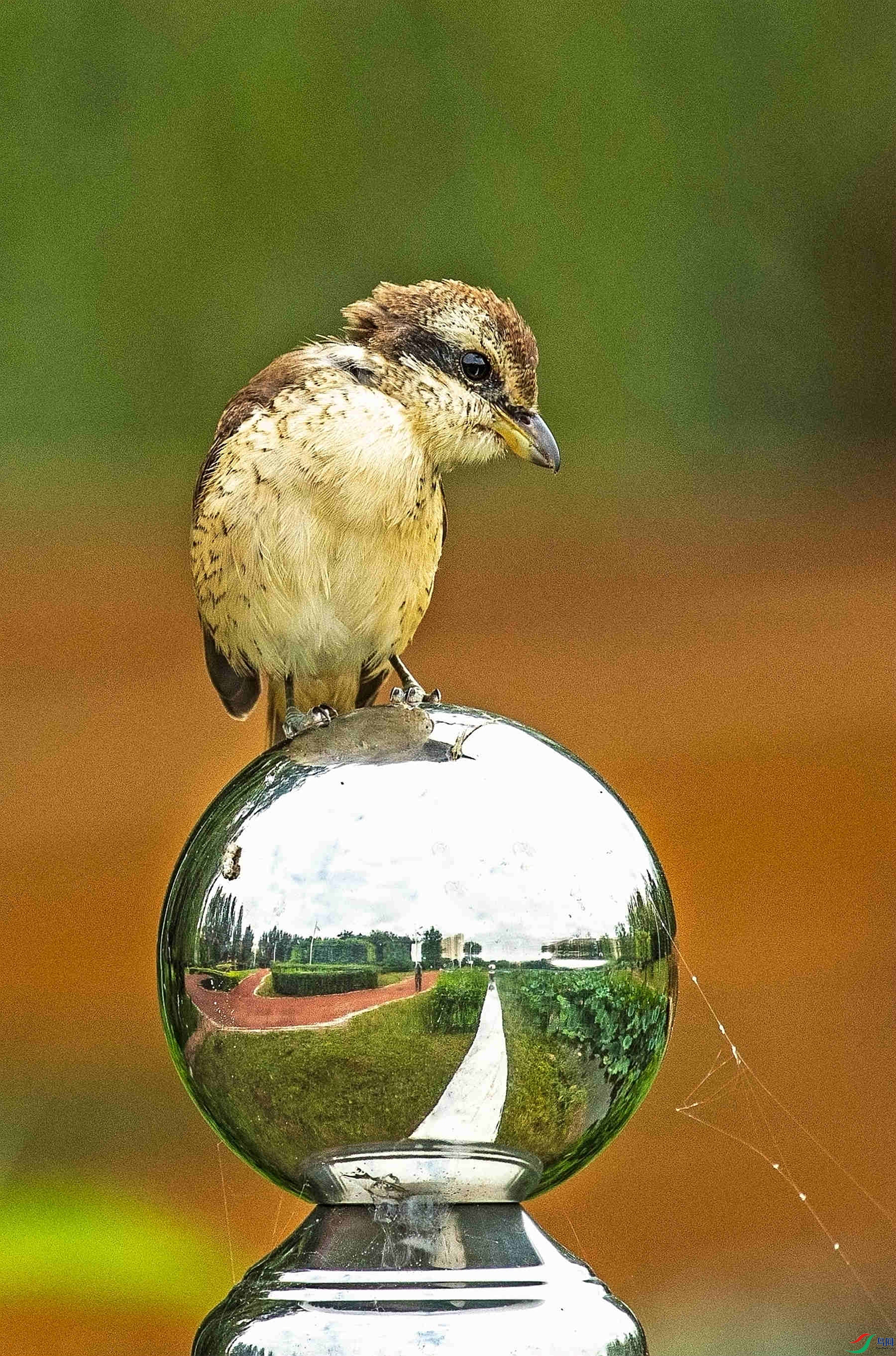 ���͵Ŀ���ͯ�� (3).jpg