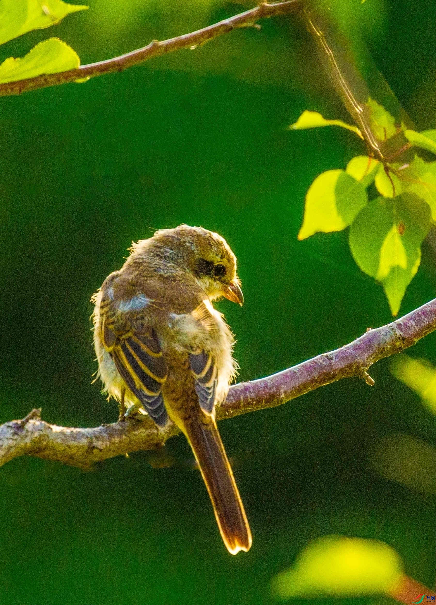 ���͵Ŀ���ͯ�� (1).jpg