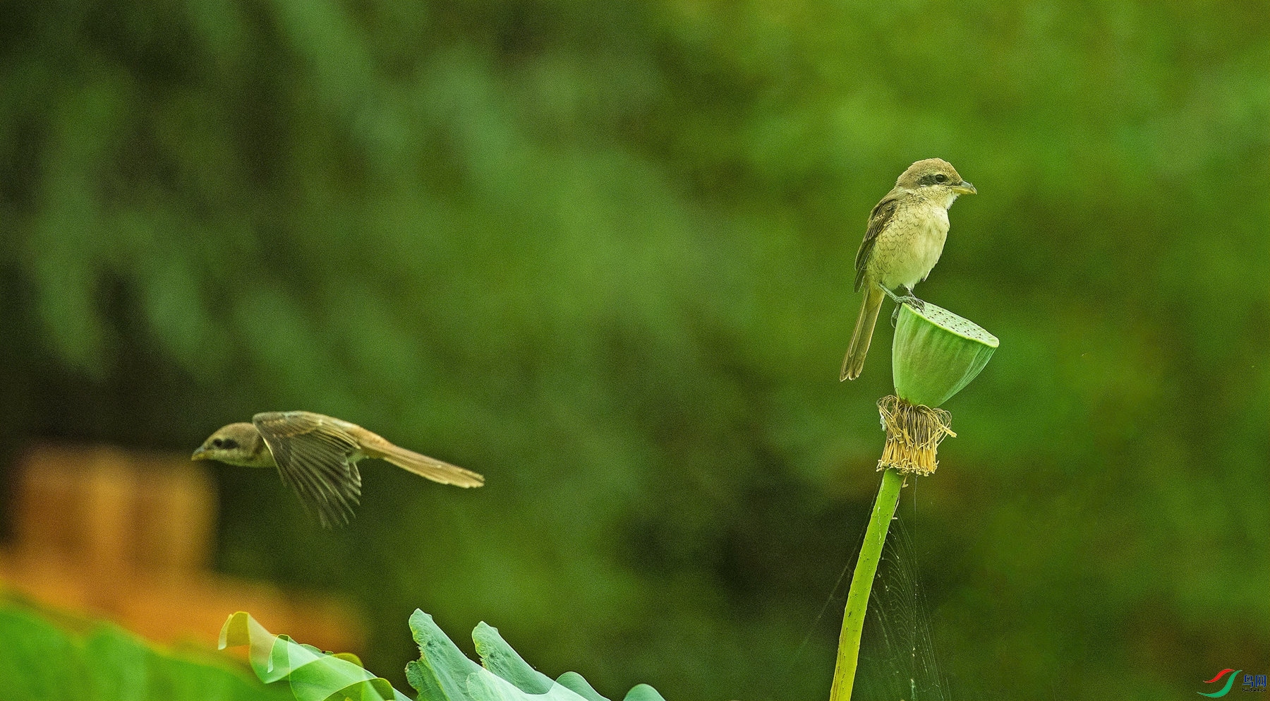 ���͵Ŀ���ͯ�� (4).jpg