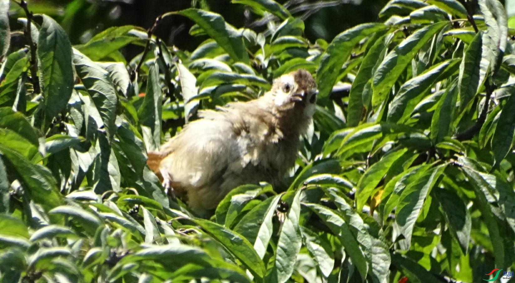 DSC03908_���ٿ�ͼ.jpg