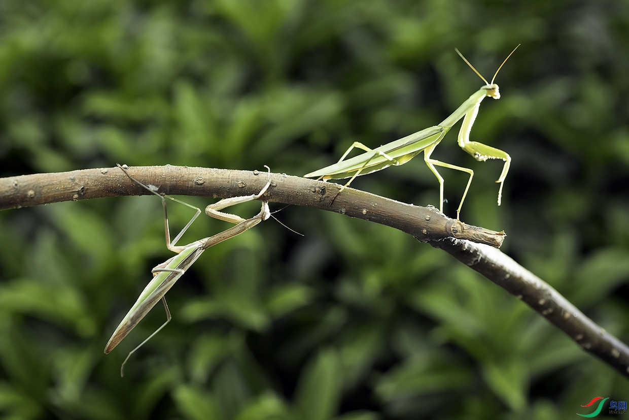 IMG_8339 ׷�棨С���أ�.jpg