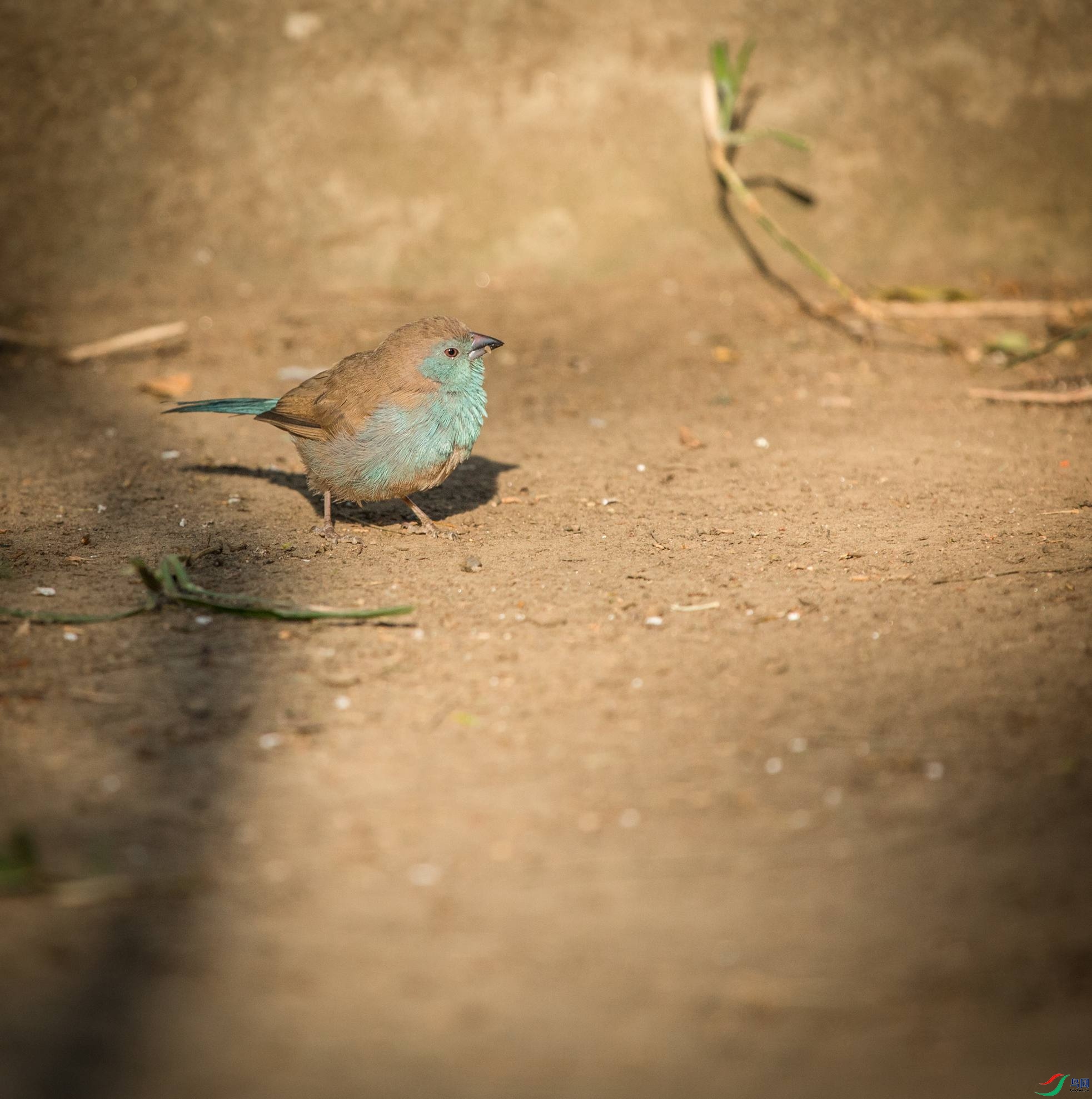 ����������ȸ