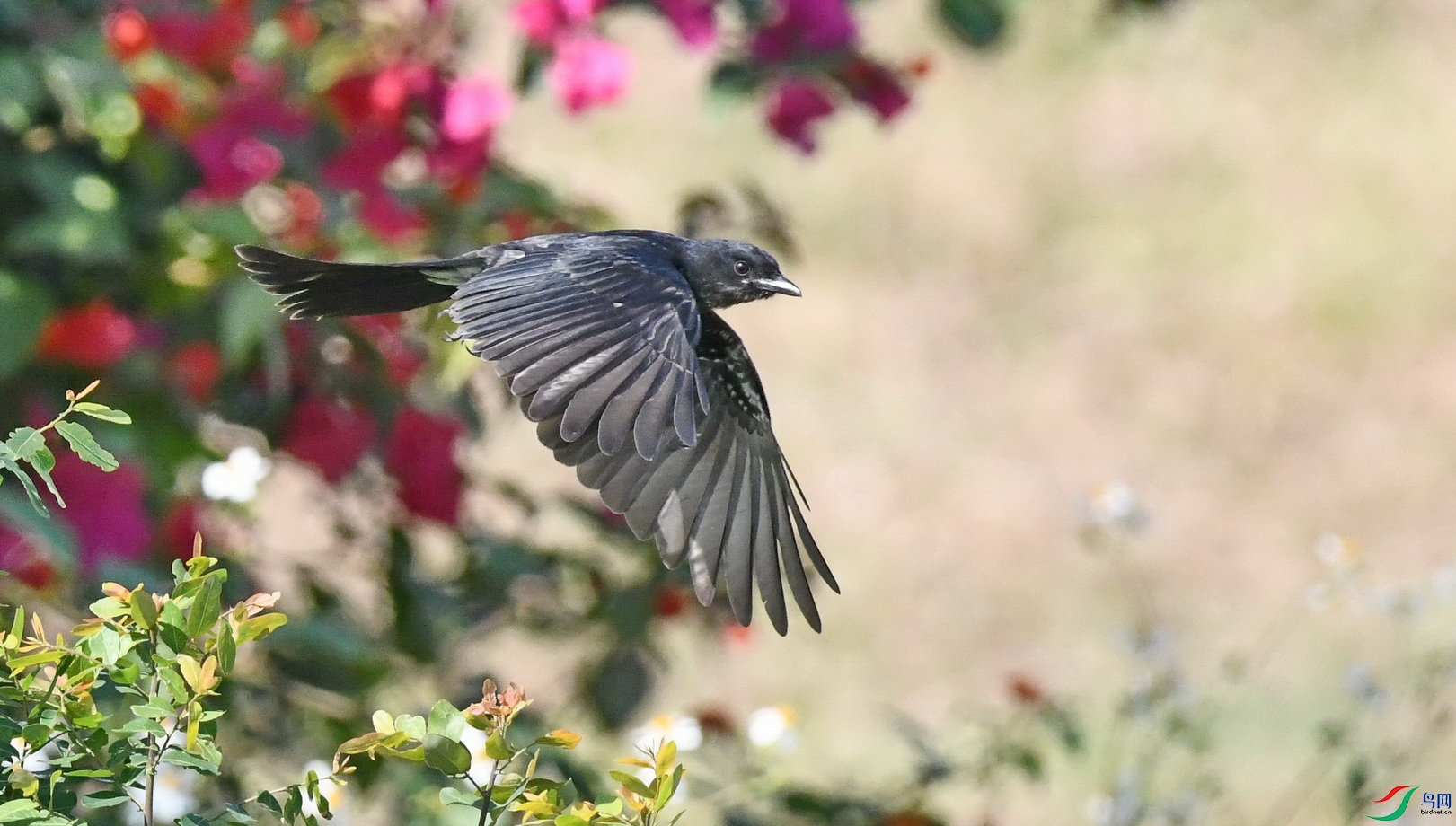 DSC_5508.JPG