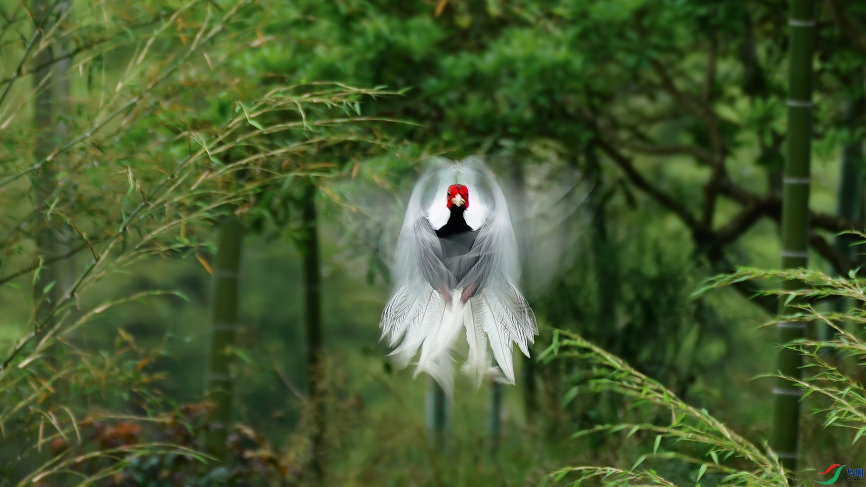 ���¡������