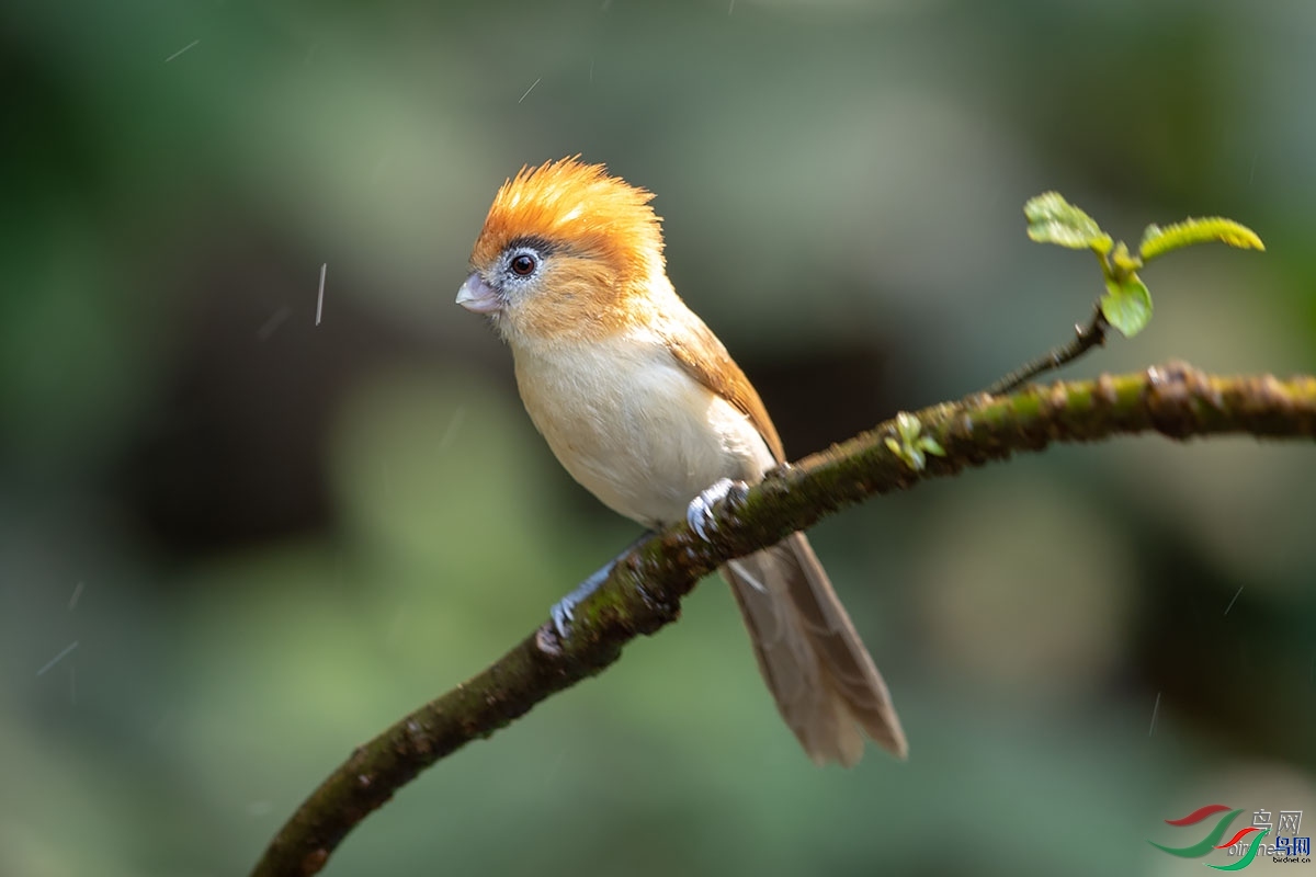 ���� ��ʦ����������ʡ�º���徰����������ӯ����.jpg