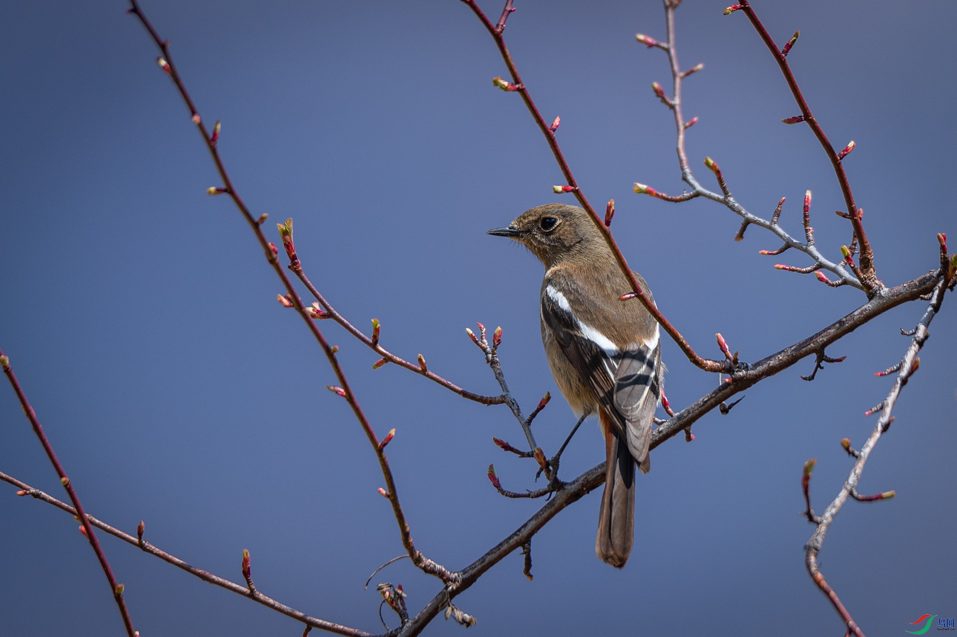 �׺���β�[��]