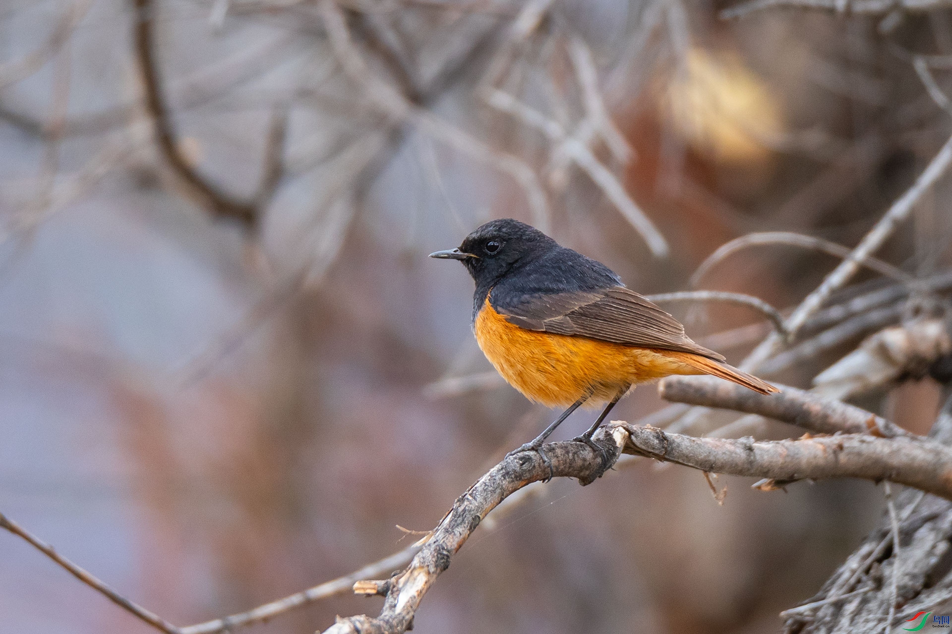 ����β�[��]