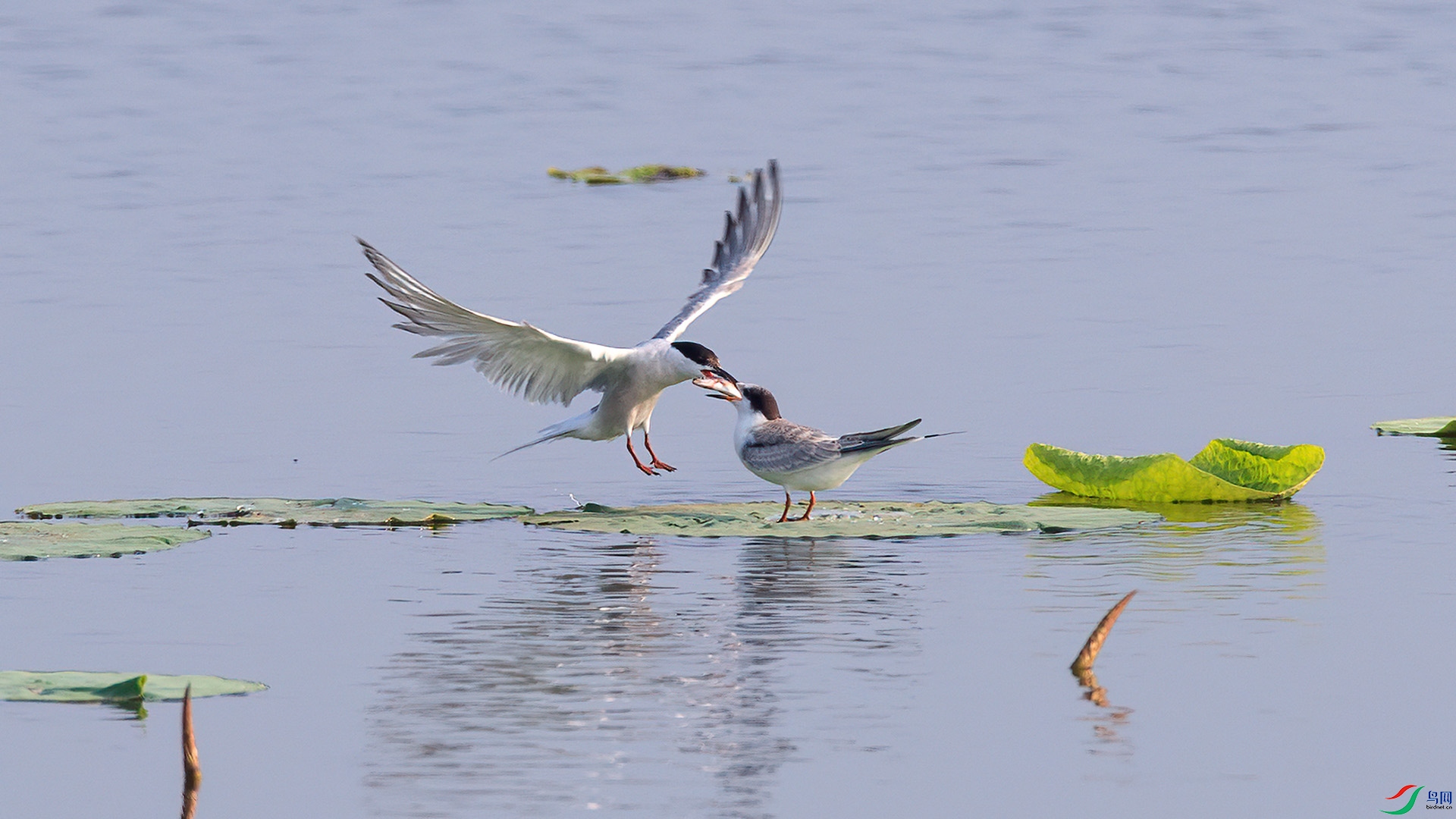 1DX_5790 ���� 2.jpg