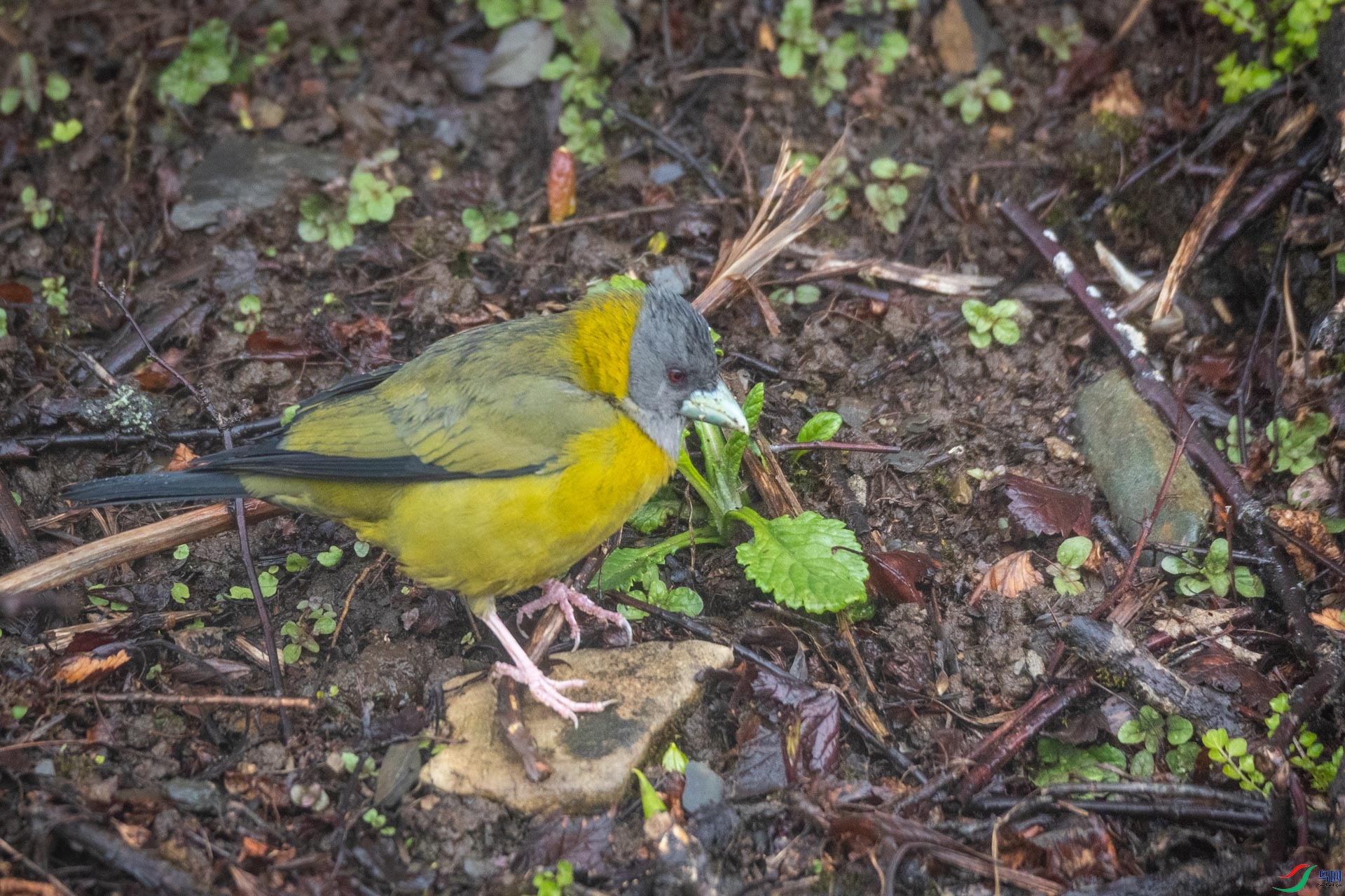 �ƾ�������ȸ[��]