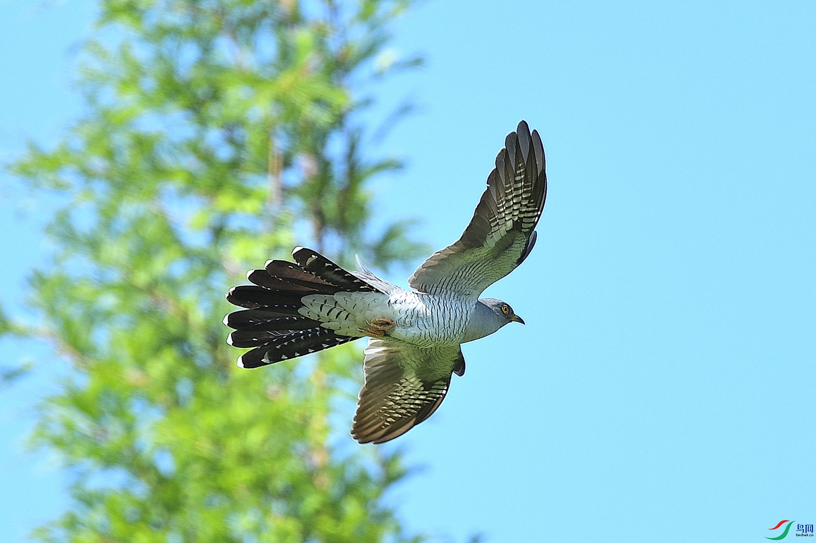 DSC_7259.JPG