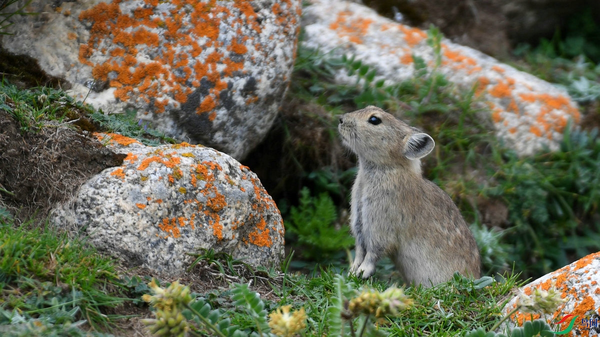 DSC_7343.jpg