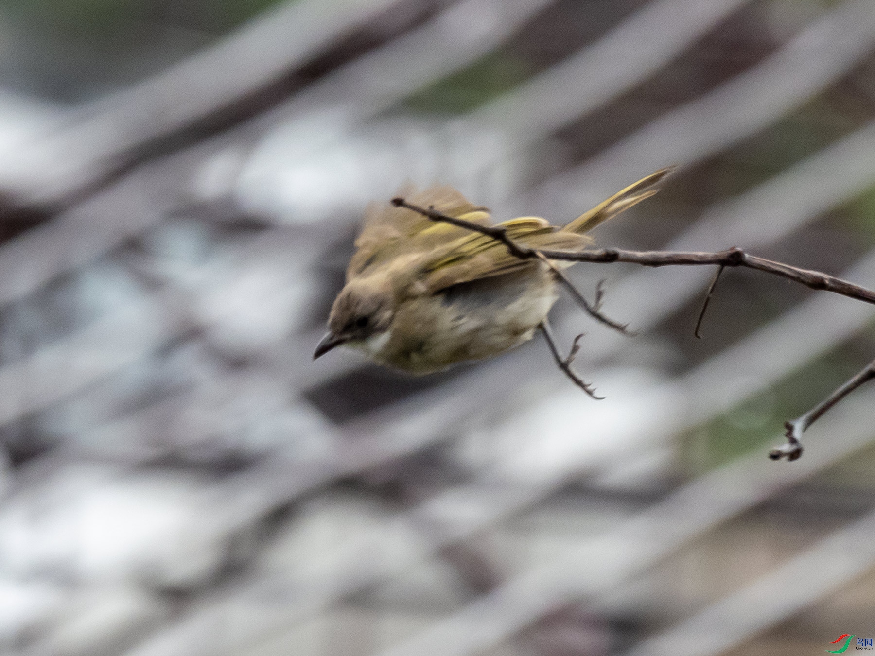 �̳�̽������3