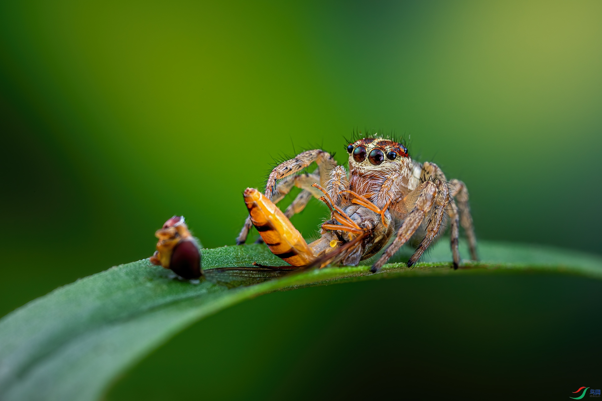 _G3A3297-1.jpg
