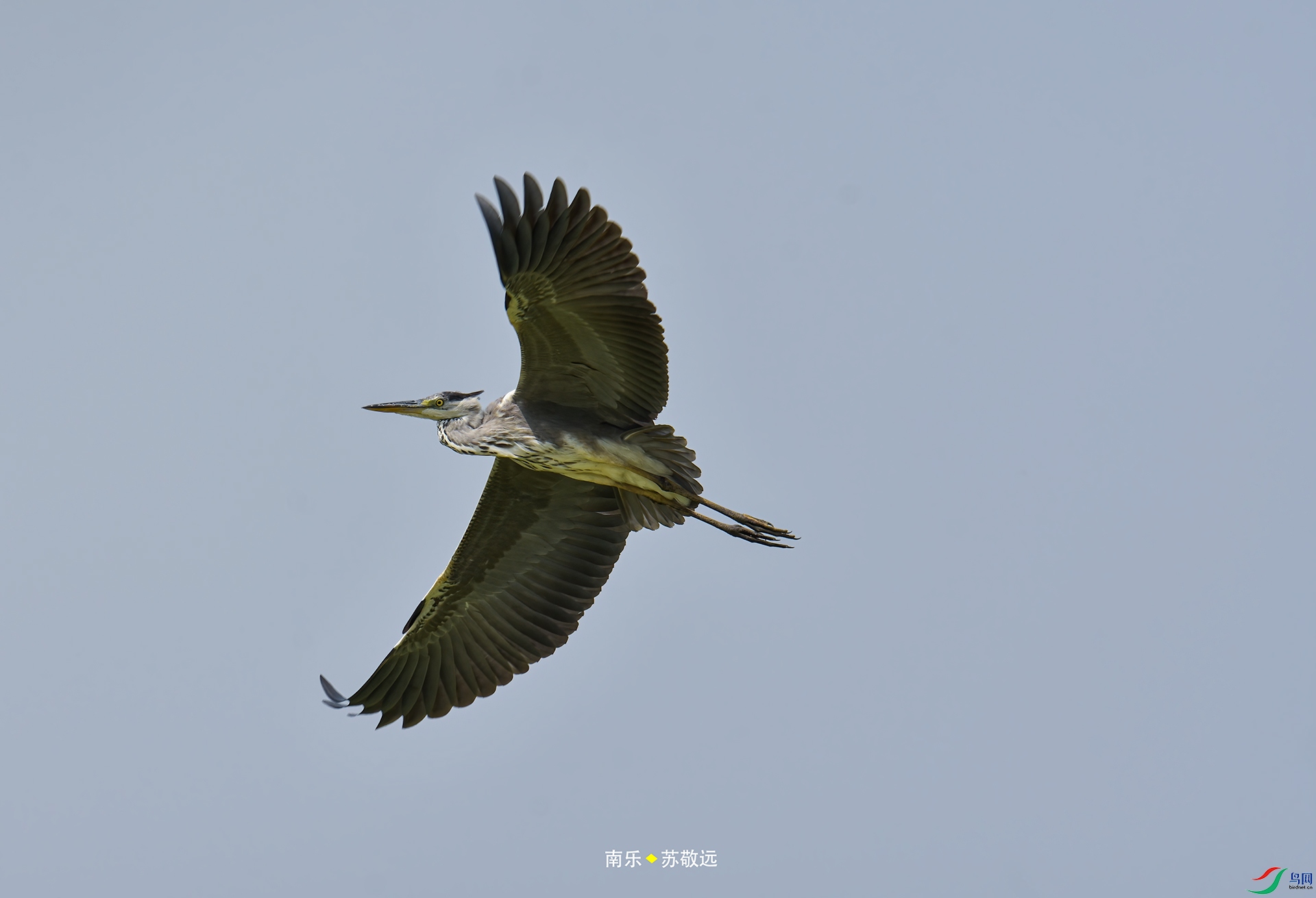 _DSC3635С.jpg